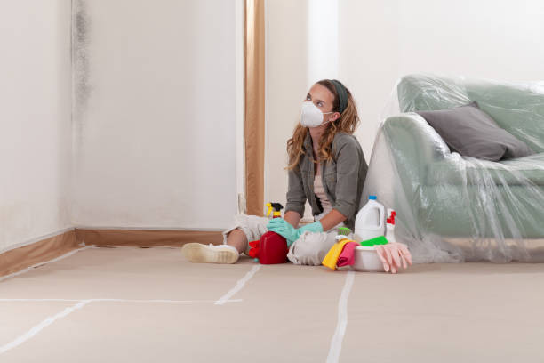 Reliable Black Mold Removal contractor in North East, MD by WQB Mold Removal